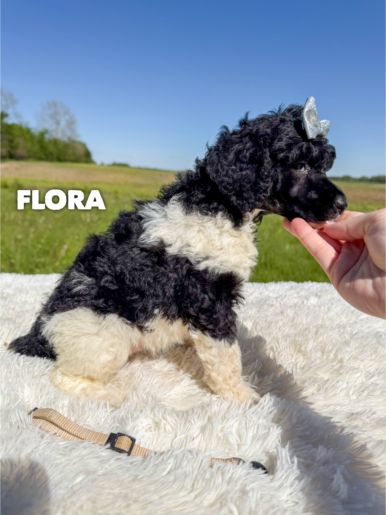 Flora 3